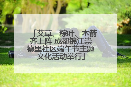 艾草、粽叶、木箭齐上阵 成都锦江崇德里社区端午节主题文化活动举行