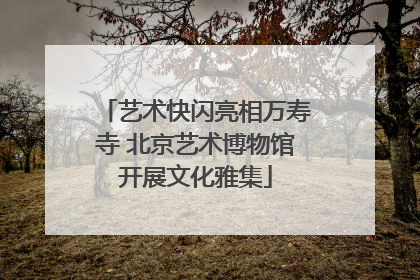 艺术快闪亮相万寿寺 北京艺术博物馆开展文化雅集