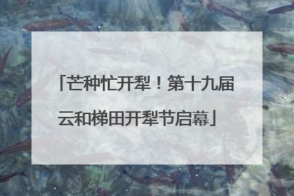 芒种忙开犁！第十九届云和梯田开犁节启幕