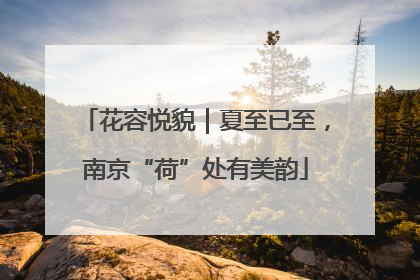 花容悦貌｜夏至已至，南京“荷”处有美韵