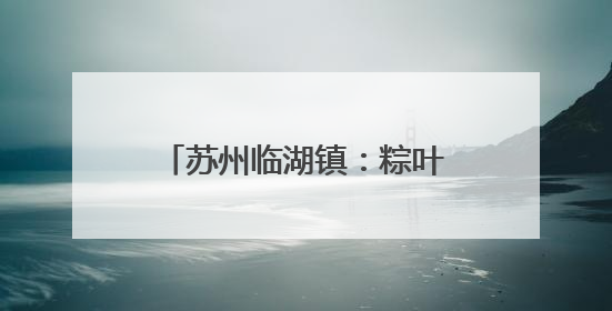 苏州临湖镇：粽叶飘香传文明 村村有“戏”树新风