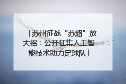 苏州征战“苏超”放大招：公开征集人工智能技术助力足球队