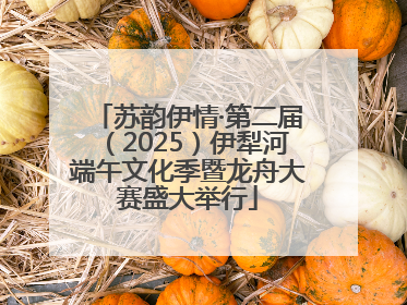 苏韵伊情·第二届（2025）伊犁河端午文化季暨龙舟大赛盛大举行