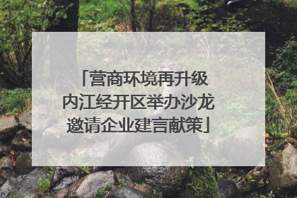 营商环境再升级 内江经开区举办沙龙邀请企业建言献策