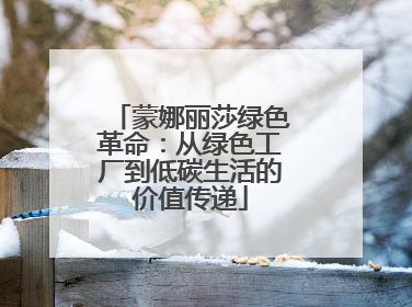 蒙娜丽莎绿色革命：从绿色工厂到低碳生活的价值传递