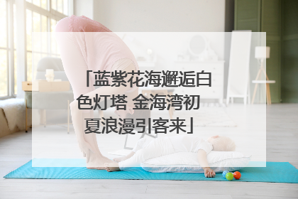 蓝紫花海邂逅白色灯塔 金海湾初夏浪漫引客来