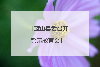 蓝山县委召开警示教育会