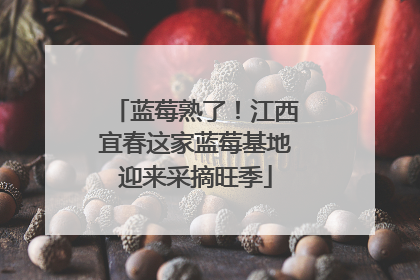 蓝莓熟了！江西宜春这家蓝莓基地迎来采摘旺季