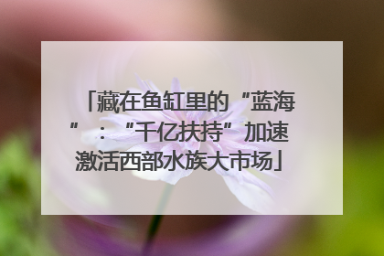 藏在鱼缸里的“蓝海”：“千亿扶持”加速激活西部水族大市场