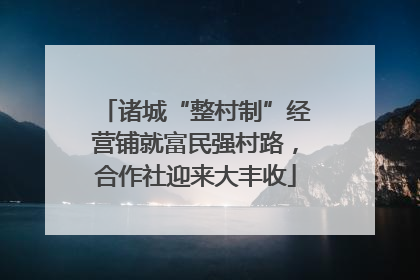 诸城“整村制”经营铺就富民强村路，合作社迎来大丰收