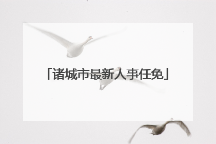诸城市最新人事任免