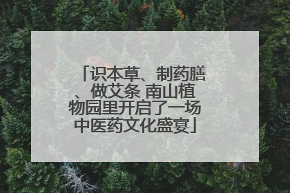 识本草、制药膳、做艾条 南山植物园里开启了一场中医药文化盛宴