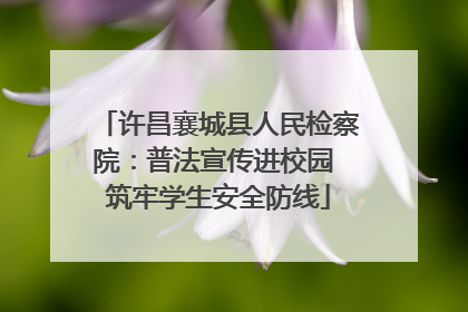 许昌襄城县人民检察院：普法宣传进校园 筑牢学生安全防线