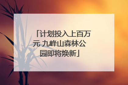 计划投入上百万元 九峰山森林公园即将焕新