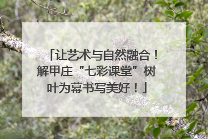 让艺术与自然融合！解甲庄“七彩课堂”树叶为幕书写美好！