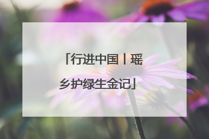 行进中国丨瑶乡护绿生金记