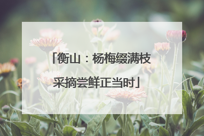 衡山：杨梅缀满枝 采摘尝鲜正当时