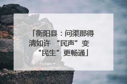 衡阳县：问渠那得清如许 “民声”变“民生”更畅通