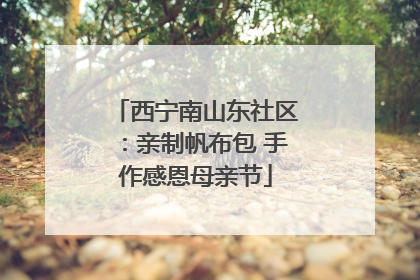 西宁南山东社区：亲制帆布包 手作感恩母亲节