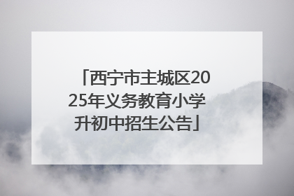 西宁市主城区2025年义务教育小学升初中招生公告