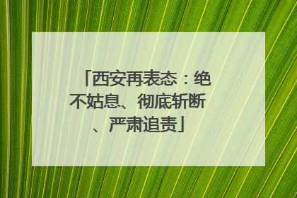 西安再表态：绝不姑息、彻底斩断、严肃追责