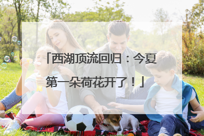 西湖顶流回归：今夏第一朵荷花开了！