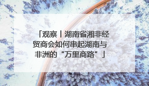 观察丨湖南省湘非经贸商会如何串起湖南与非洲的“万里商路”