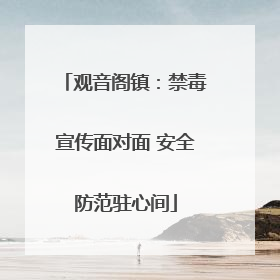 观音阁镇：禁毒宣传面对面 安全防范驻心间