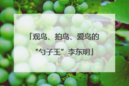 观鸟、拍鸟、爱鸟的“勺子王”李东明