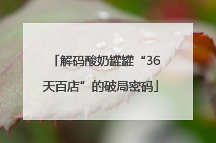 解码酸奶罐罐“36天百店”的破局密码