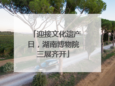 迎接文化遗产日，湖南博物院三展齐开