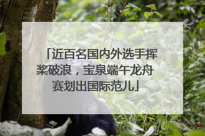 近百名国内外选手挥桨破浪，宝泉端午龙舟赛划出国际范儿