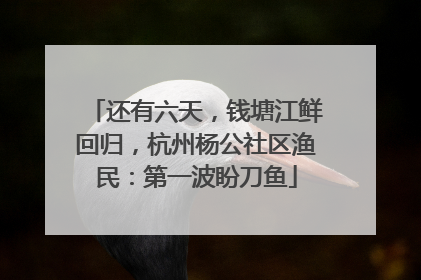 还有六天，钱塘江鲜回归，杭州杨公社区渔民：第一波盼刀鱼