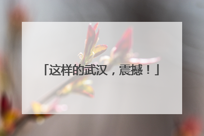 这样的武汉，震撼！
