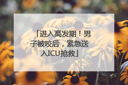进入高发期！男子被咬后，紧急送入ICU抢救