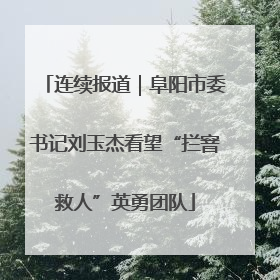 连续报道｜阜阳市委书记刘玉杰看望“拦窨救人”英勇团队