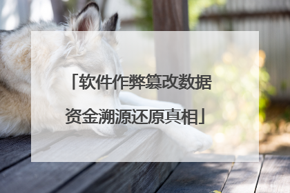 软件作弊篡改数据 资金溯源还原真相