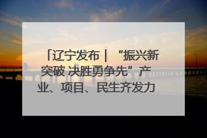 辽宁发布｜“振兴新突破 决胜勇争先”产业、项目、民生齐发力 葫芦岛按下决胜之年“加速键”