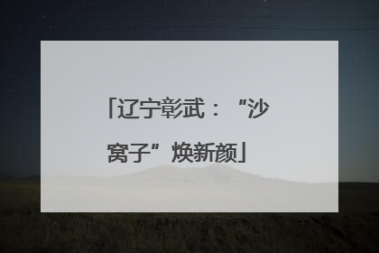 辽宁彰武：“沙窝子”焕新颜
