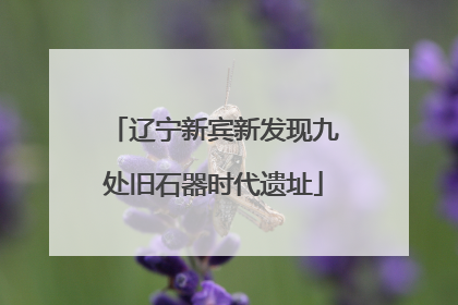 辽宁新宾新发现九处旧石器时代遗址