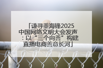 谦寻董海锋2025中国网络文明大会发声：以“三个向善”构建直播电商善意长河