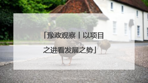 豫政观察丨以项目之进看发展之势
