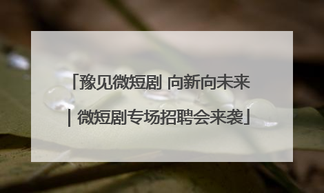 豫见微短剧 向新向未来｜微短剧专场招聘会来袭