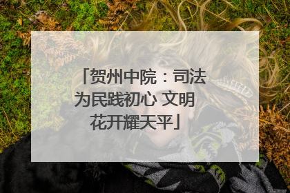 贺州中院：司法为民践初心 文明花开耀天平