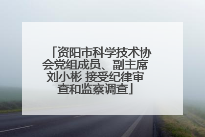 资阳市科学技术协会党组成员、副主席刘小彬 接受纪律审查和监察调查