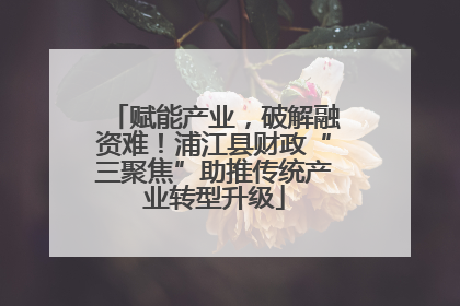 赋能产业，破解融资难！浦江县财政“三聚焦”助推传统产业转型升级
