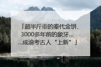 超半斤重的秦代金饼、3000多年前的象牙……成渝考古人“上新”