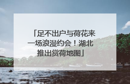 足不出户与荷花来一场浪漫约会！湖北推出赏荷地图