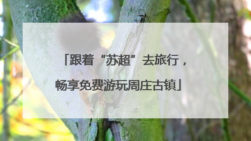 跟着“苏超”去旅行，畅享免费游玩周庄古镇