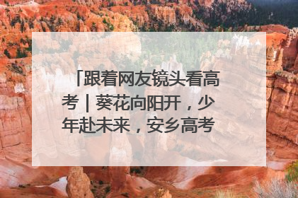 跟着网友镜头看高考｜葵花向阳开，少年赴未来，安乡高考首日的希望图景